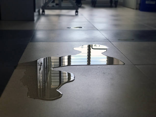 Best Professional water damage repair  in Reidsville, NC